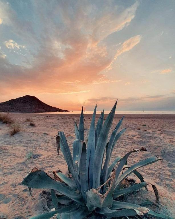 Magnifica Casa Con Encanto En Agua Amarga Ferienhaus *
