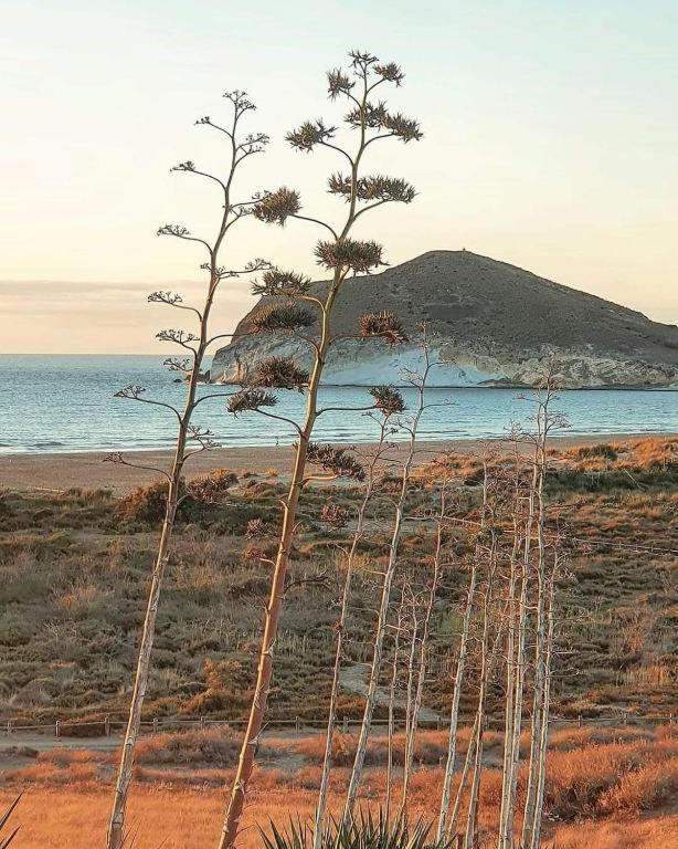 Magnifica Casa Con Encanto En Agua Amarga *
